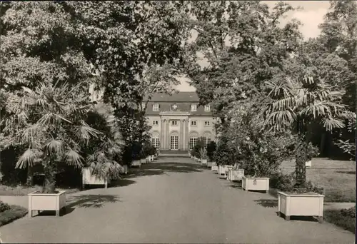 Ansichtskarte Dessau-Dessau-Roßlau Staatliches Museum Schloss Mosigkau 1970