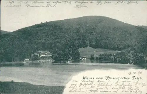 Ansichtskarte Bad Lauterberg im Harz Wiesenbeker Teich 1904