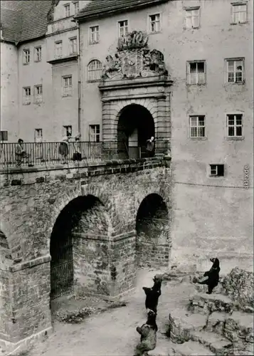 Ansichtskarte Torgau Bärenfreigehege im Schloss Hartenfels 1978