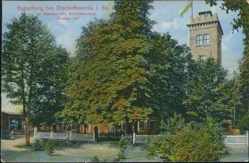 Ansichtskarte Bischofswerda Partie am Butterberg 1918 