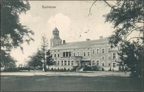 Postcard Sallmow Żelmowo Partie am Schloß b  	Łobez Labes Pommern 1912