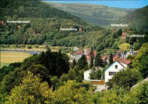 Ansichtskarte Neckarsteinach Vier Burgen 1995