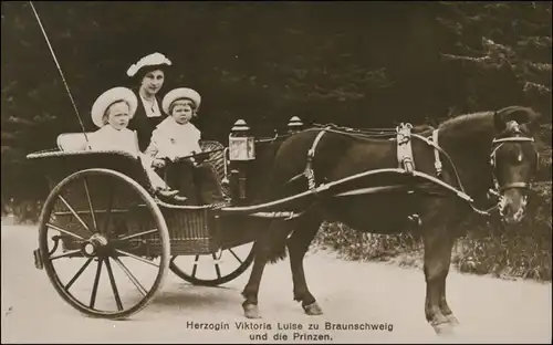 Ansichtskarte  Herzogin Viktoria Luise zu Braunschweig und die Prinzen 1913 