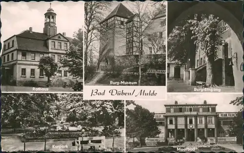 Ansichtskarte Bad Düben Mehrbild: Rathaus, Moorbad 1966 