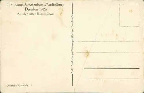 Ansichtskarte Dresden Gartenbau-Ausstellung , Blumenschau 1926