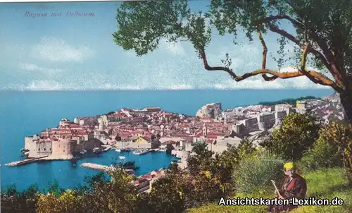 Postcard Ragusa Dubrovnik Totale mit Oelbaum 1918