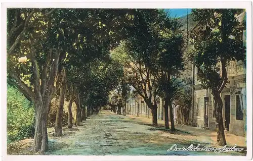 Postcard Crikvenica Cirquenizza Vinodoiska Ulica 1932 