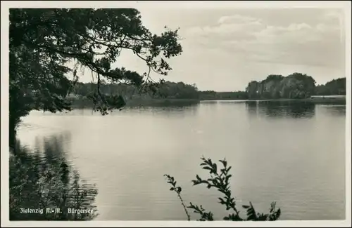 Postcard Zielenzig (Neumark) Sulęcin Bürgersee 1931