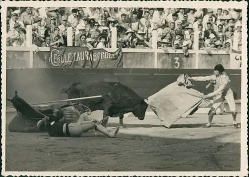 Ansichtskarte  Toroy Y Toreros, Stierkampfarena/Stierkampf 1955