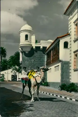 Las Palmas de Gran Canaria Pueblo Canario (tipismo)/2 Damen auf einem Kamel 1950