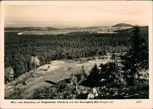 Ansichtskarte Altenberg (Erzgebirge) Galgenteich Stadt Foto Hering 1963