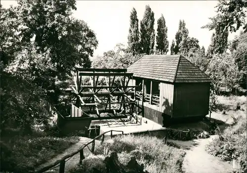 Ansichtskarte Bad Düben Schiffmühle im Burggarten 1976