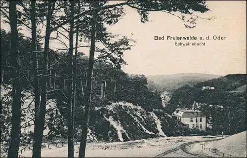 Ansichtskarte Bad Freienwalde Blick in die Schweinebucht 1925