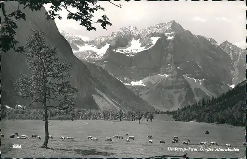 Ansichtskarte Hinterriß (Tirol) Stadt Weide - Umland 1962