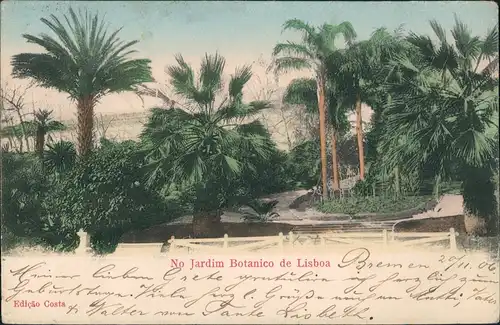 Postcard Lissabon No Jardin Botanico coloriert 1906