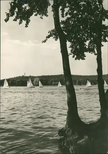 .Mecklenburg Mecklenburgische Seenplatte Landschaft, DDR Postkarte 1973