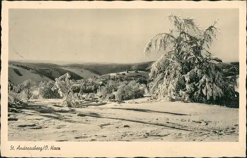 Sankt Andreasberg-Braunlage Umland-Ansicht Harz Panorama im Winter 1955