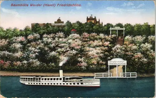 Ansichtskarte Werder (Havel) Friedrichshöhe - Dampfer 1930