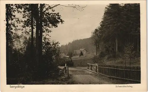 Bad Schwarzbach-Bad Flinsberg  Świeradów-Zdrój Schwarzbachsteg 1925