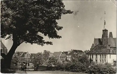 Postcard Breslau Wrocław Stadtteilansicht 1959