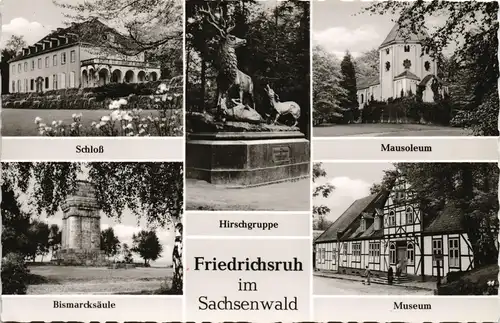 Friedrichsruh Sachsenwald  mit Schloss, Bismarck-Säule, Mausoleum uvm. 1960