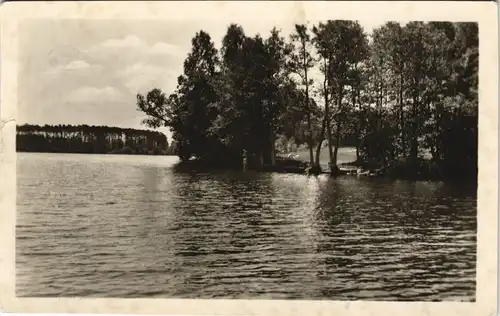 Zechlinerhütte/Mark-Rheinsberg Partie am Schlabornsee zu DDR-Zeiten 1957/1955