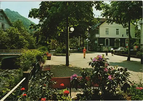 Ansichtskarte Bad Harzburg Partie in der Bummelallee 1980