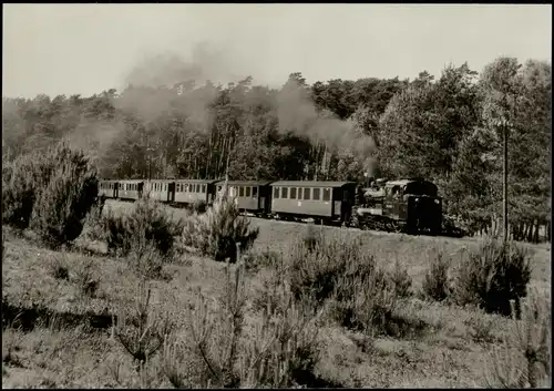 Schmalspurbahn Putbus-Göhren Personenzug zwischen Garftitz und Sellin 1984