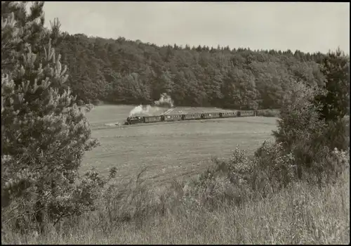 Schmalspurbahn Putbus-Göhren Personenzug bei Seelvitz 1984