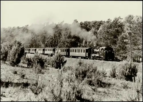 Schmalspurbahn Putbus-Göhren Zwischen Garftitz und Sellin 1977