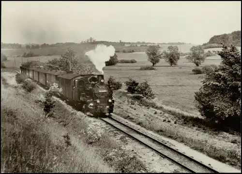 Schmalspurbahn Putbus-Göhren Zug zwischen Serams und Seelvitz 1977