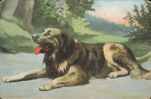 Ansichtskarte  Tiere - Hund - Künstlerkarte 1905
