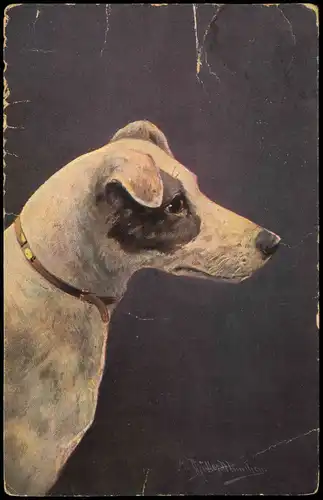 Osteuropäische Künstlerkarte mit Hunde Motiv (Dog Art Postcard) 1930