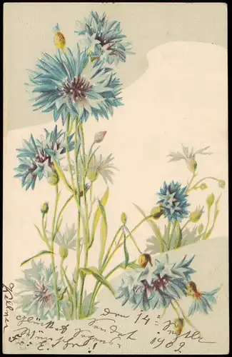 Ansichtskarte  Fauna / Pflanzen Geprägte Pflanzen Blumen 1902 Prägekarte