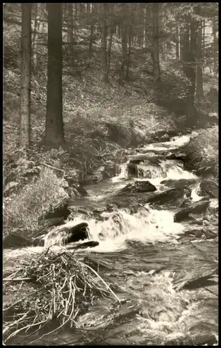 Siegmundsburg-Neuhaus am Rennweg Thür. Wald Tiefgrümpen DDR AK 1971/1968