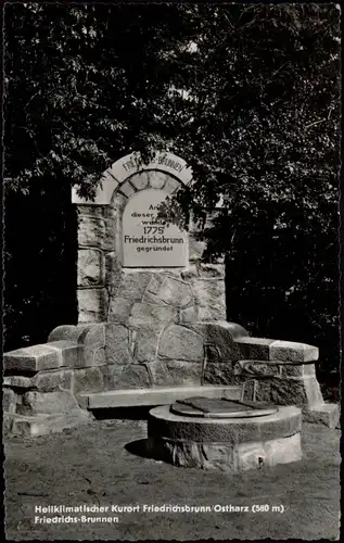 Ansichtskarte Friedrichsbrunn Partie am Friedrichs-Brunnen DDR AK 1961