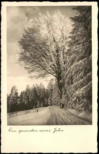 Ansichtskarte  Glückwunsch - Neujahr/Sylvester Winterwald 1934