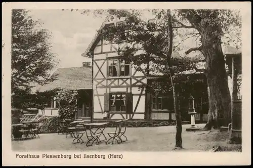 Ansichtskarte Ilsenburg (Harz) Forsthaus Plessenburg 1925