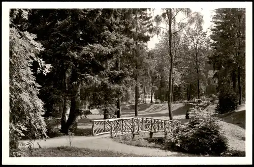 Ansichtskarte Bad Sachsa Kurpark 1960