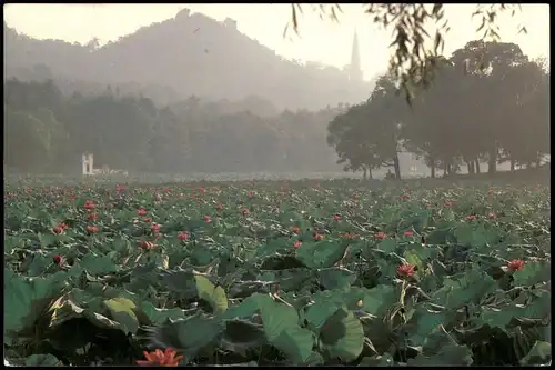 Hangzhou Hangchow 杭州 Summer  Solitary Hill 1987   mit China Mehrfach-Frankatur