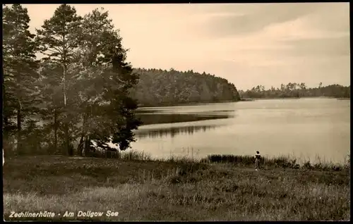 Ansichtskarte Zechlinerhütte/Mark-Rheinsberg Am Dollgow See 1964