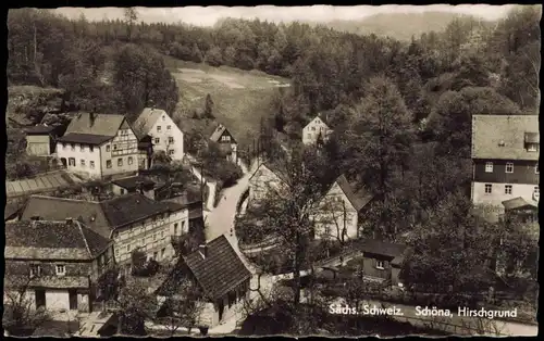 Schöna-Reinhardtsdorf-Schöna Sächsische Schweiz Schöna, Hirschgrund, DDR AK 1961