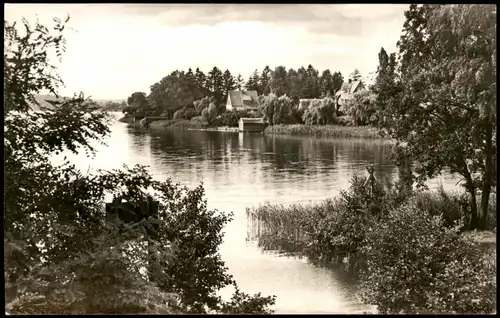 Ansichtskarte Zechlinerhütte/Mark-Rheinsberg Partie am Schlabornsee 1967