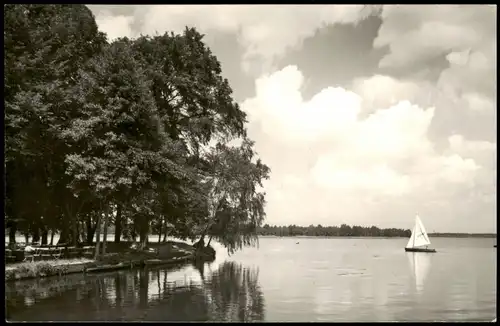 Ansichtskarte Klein Köris-Groß Köris Im Hafen, Blick vom Steg 1970