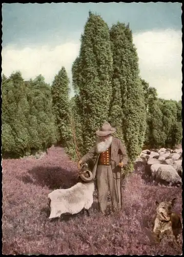 Ansichtskarte .Niedersachsen LÜNEBURGER HEIDE IDYLL IM NATURSCHUTZPARK 1970