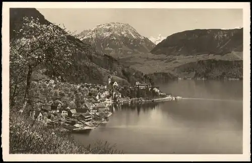 Ansichtskarte Gersau Panorama-Ansicht 1950