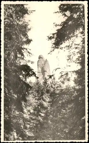 Sachsen Sächsische Schweiz Felsen Echtfoto-Ansicht 1961   gel   Stempel PIRNA