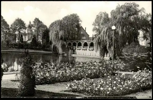 Ansichtskarte Uetersen Rosarium 1964