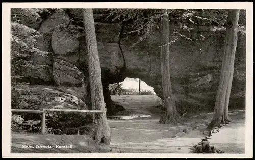 Ansichtskarte Kirnitzschtal-Sebnitz Kuhstall Sächsische Schweiz 1956