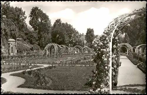 Ansichtskarte Karlsruhe Partie im Rosengarten 1960